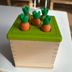 Interactive Wooden Carrot Puzzle Toy
